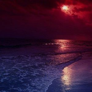 Meet your Posher, Candice